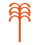 Story icon